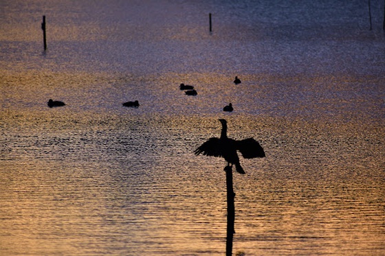 Lake Sanaru morning