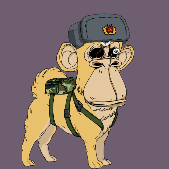 Kennel Ape #9563