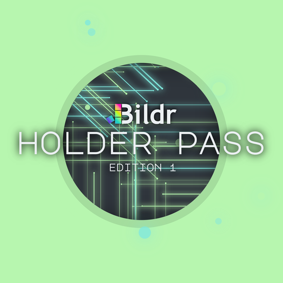 Bildr Holder Pass