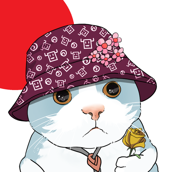 Puzzled cat #4181