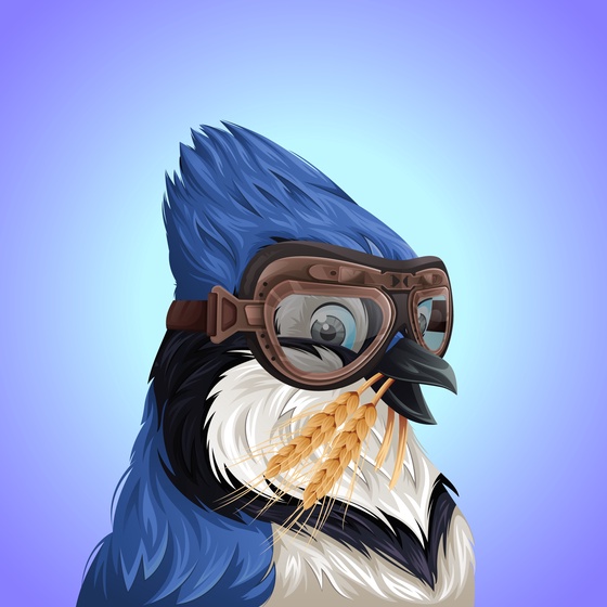 #3931 Bluejay