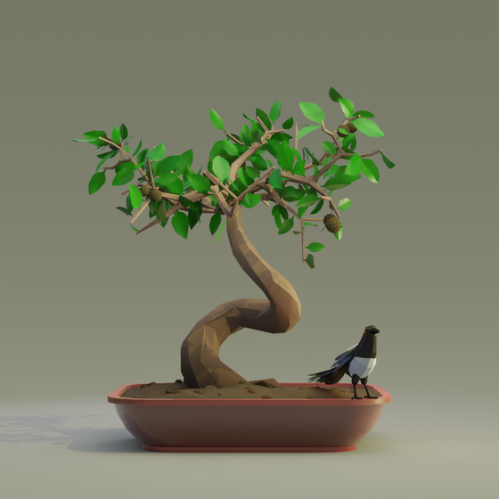 Bonsai #3674