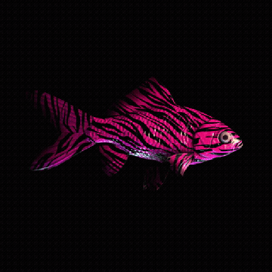 CryptoFish #5005