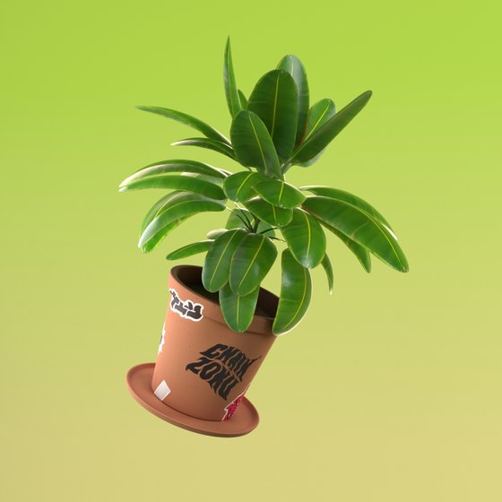 'GM' Green Plant