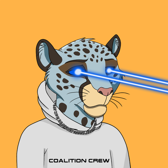 Coalition Crew 2.0 #536