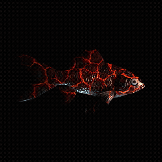 CryptoFish #819