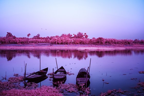 A Sacred Oasis on the Jalangi River