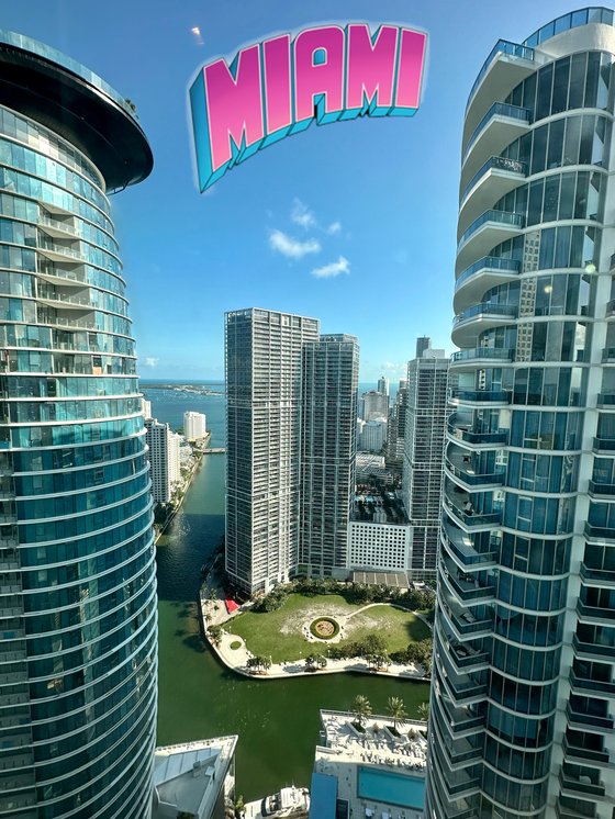 Miami View