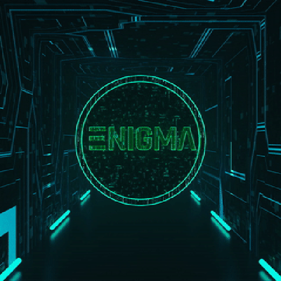 Enigma #323