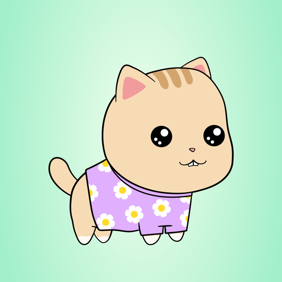 Chubbicat #5843