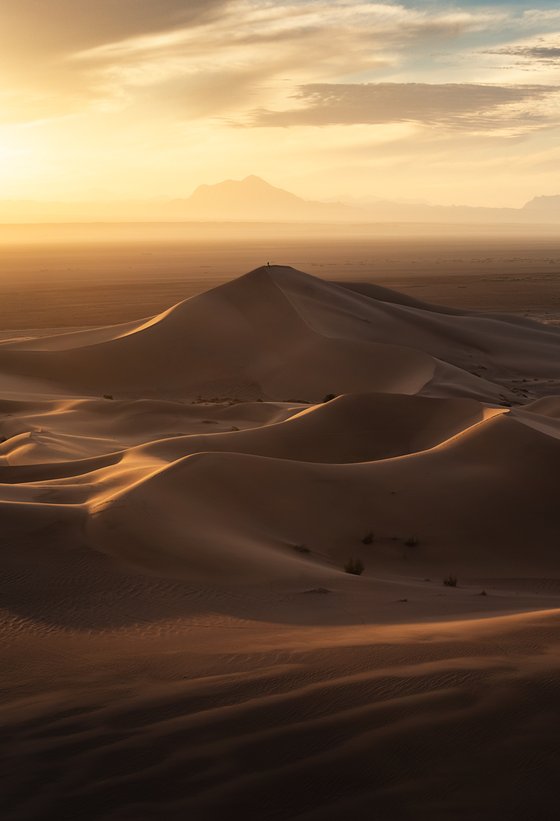 Karakal Desert 