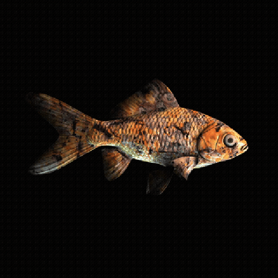 CryptoFish #815