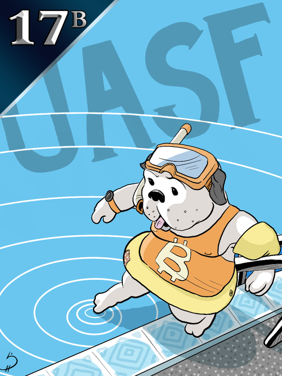 Curio Card #17b (UASF)